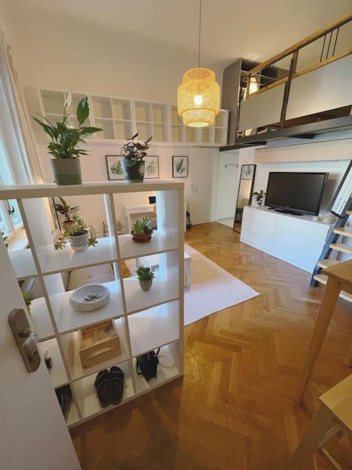 Stefanka Apartment Old Town Bratislava Buitenkant foto